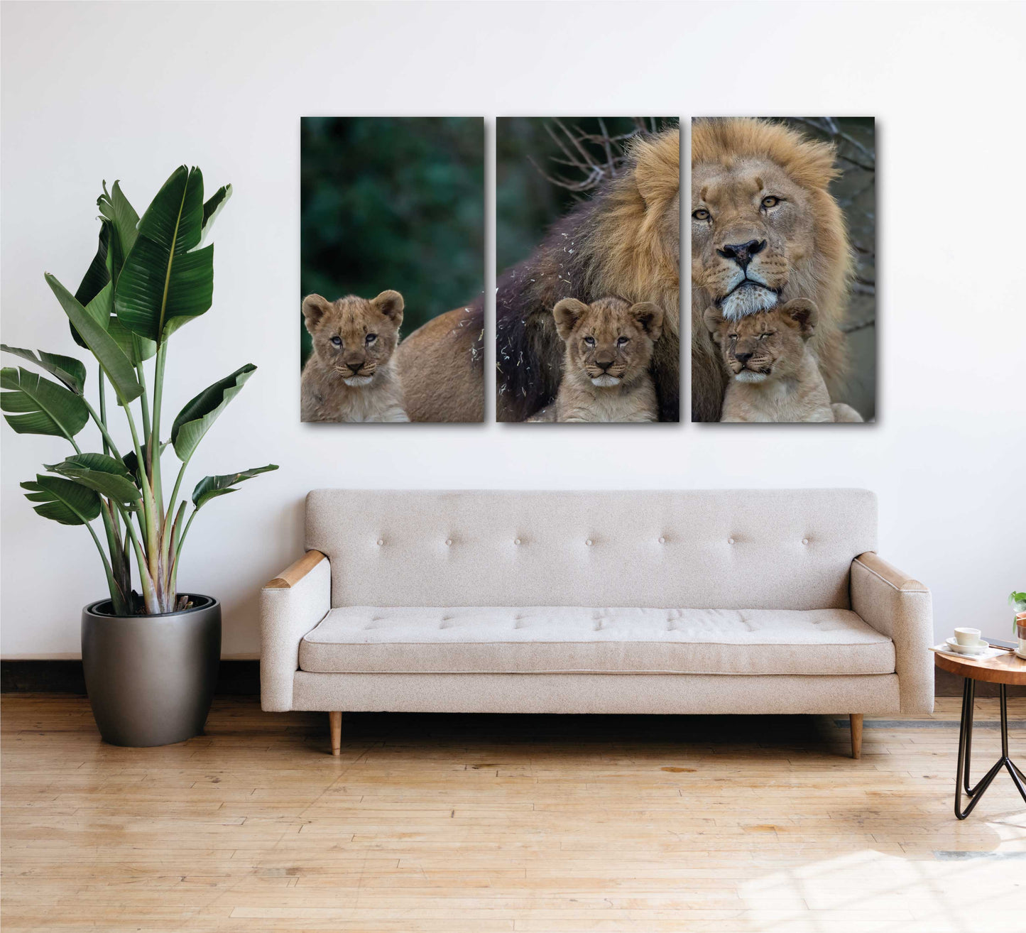 REF 0656 Familia de Leones