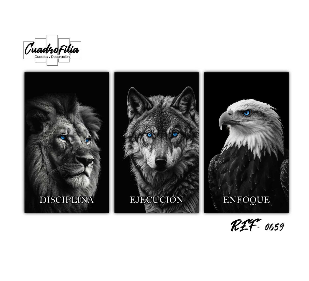 REF 0659 Disciplina, Ejecución y Enfoque