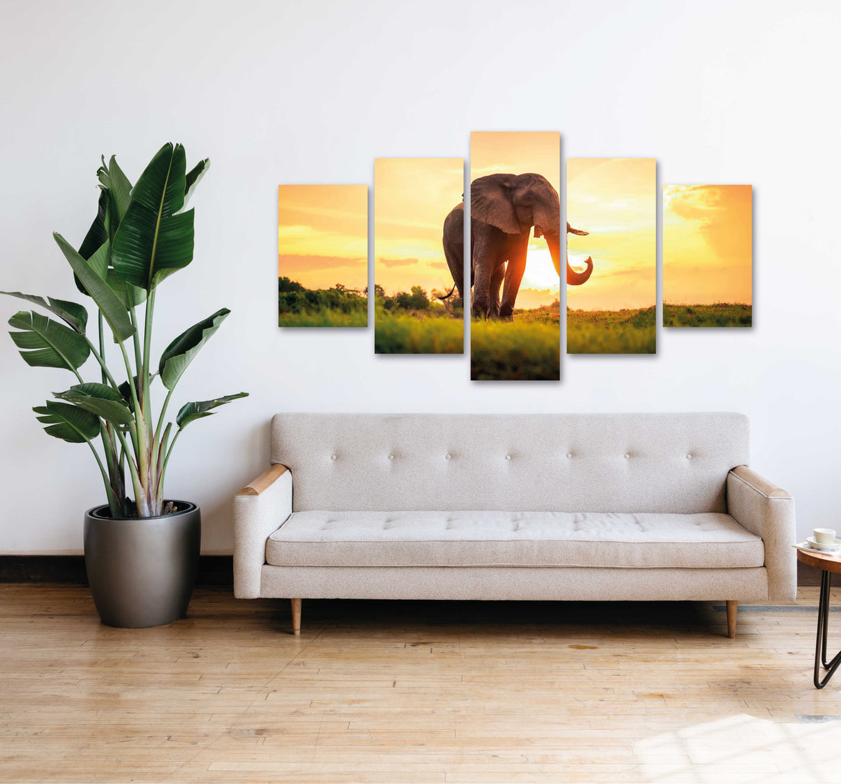 REF 0669 Elefante