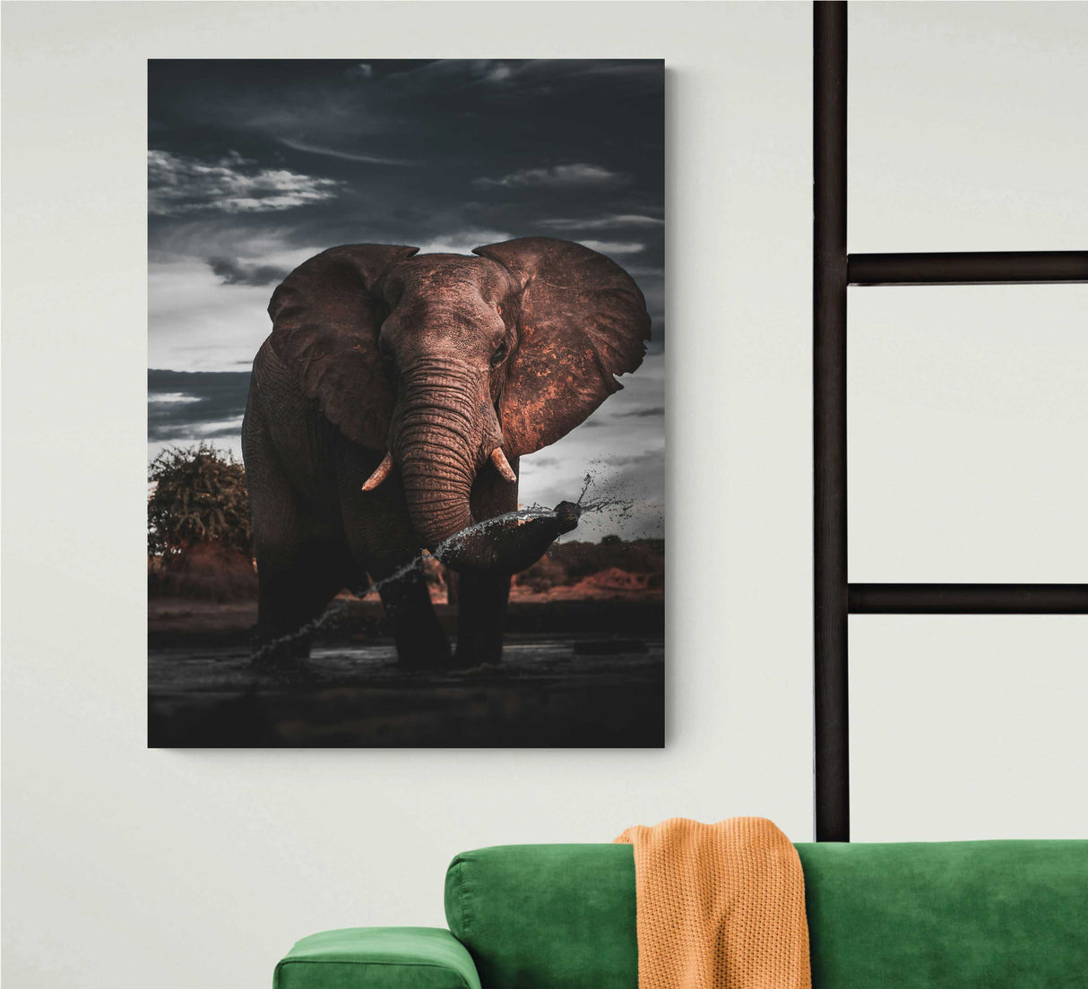 REF 0675 Elefante