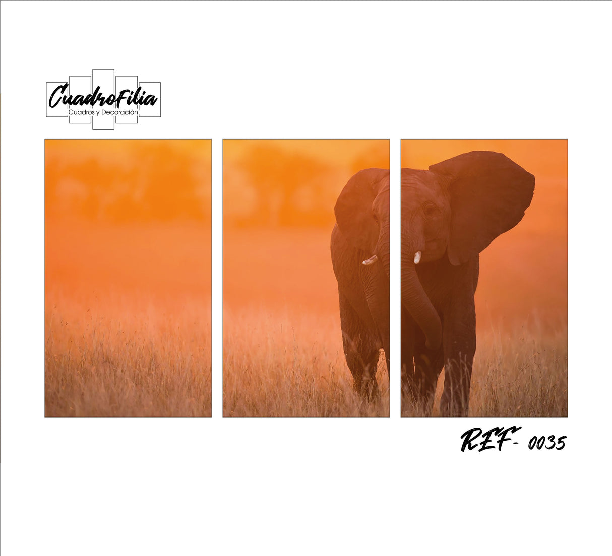 REF 0035 Elefante Atardecer