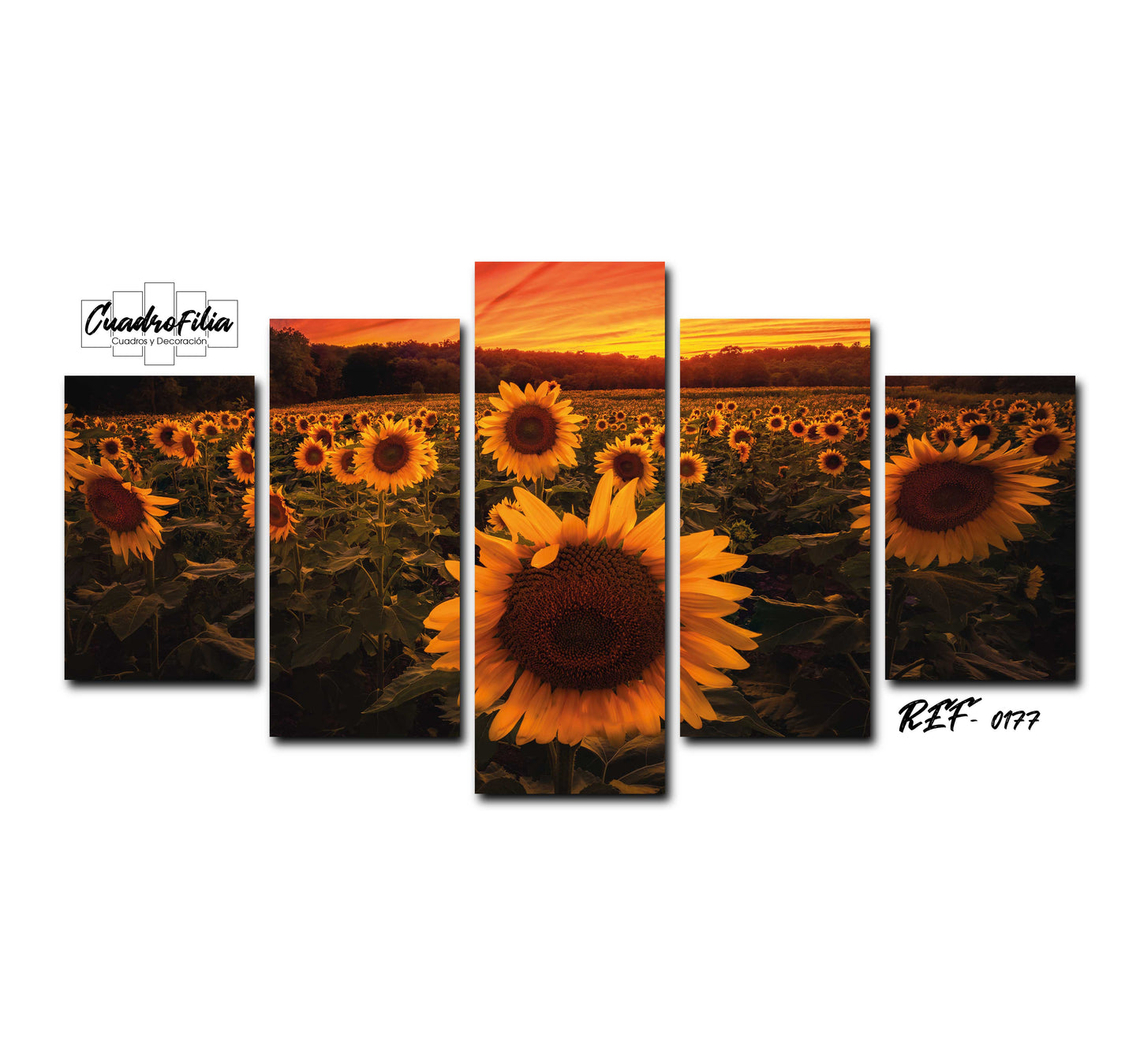 REF 0177 Girasoles