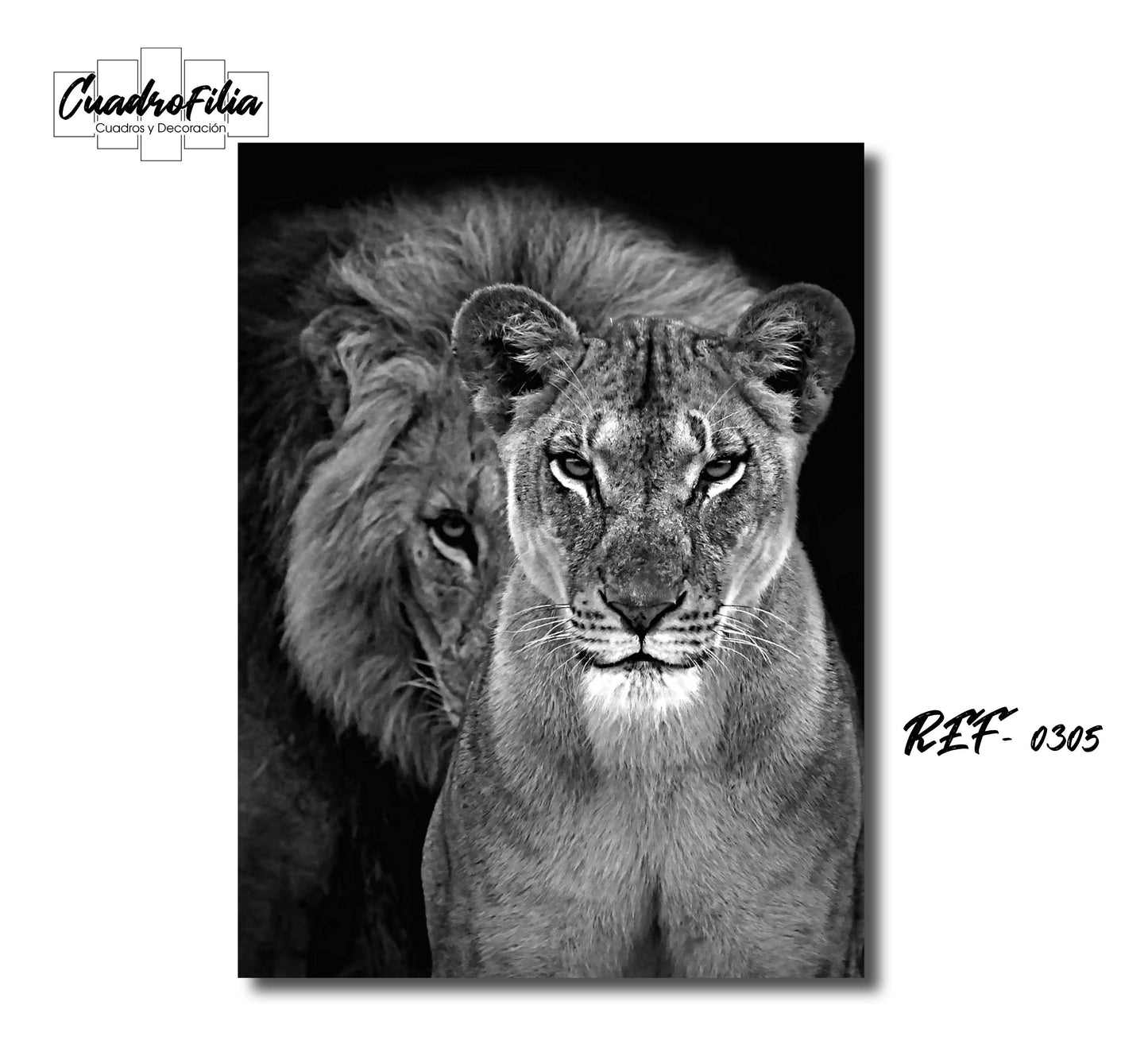 REF 0305 Pareja Leones Grises