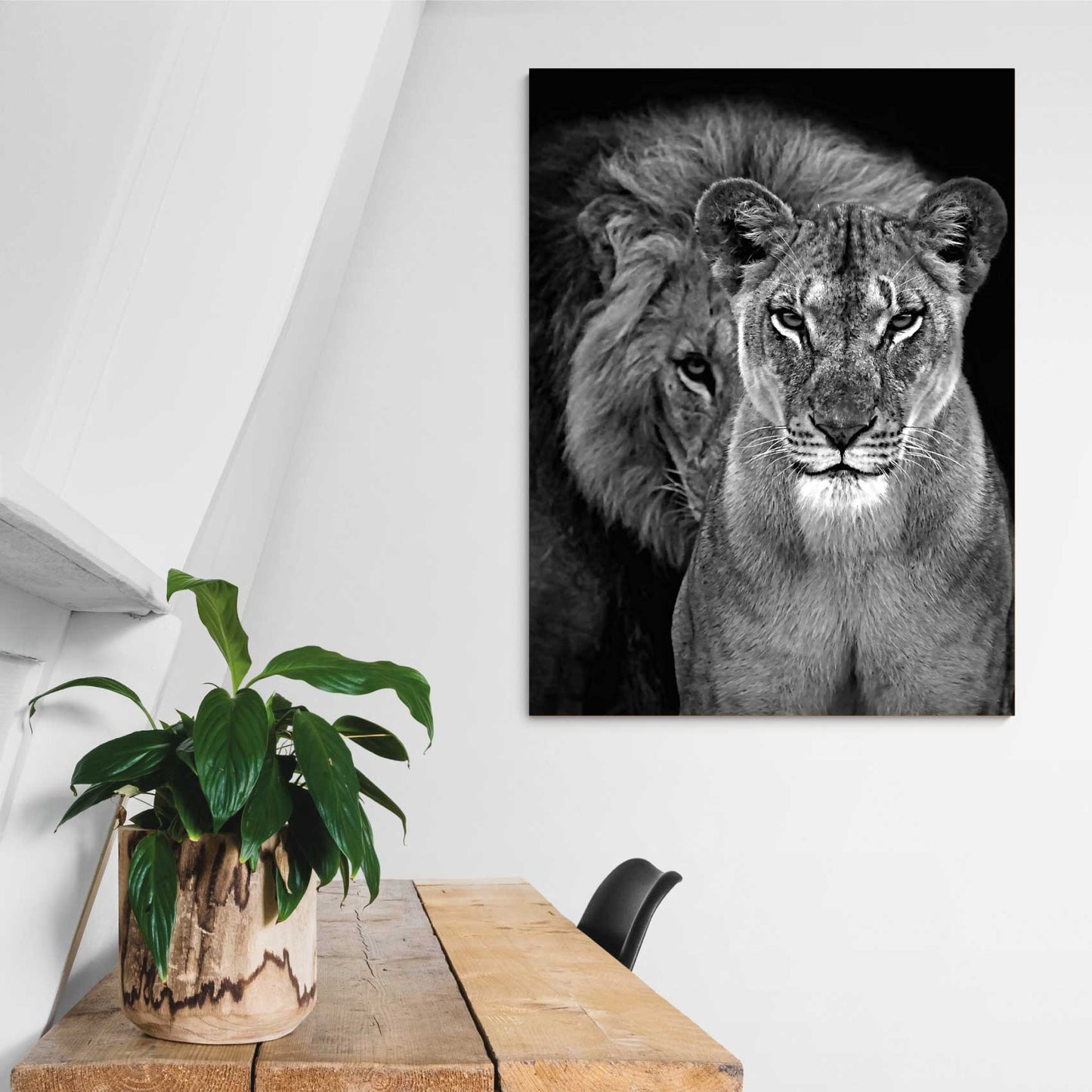 REF 0305 Pareja Leones Grises