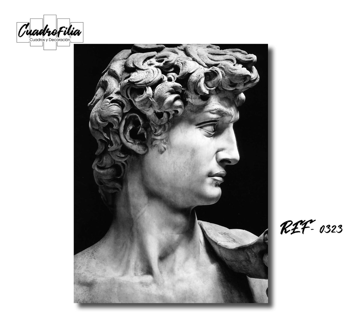 REF 0323 Escultura David