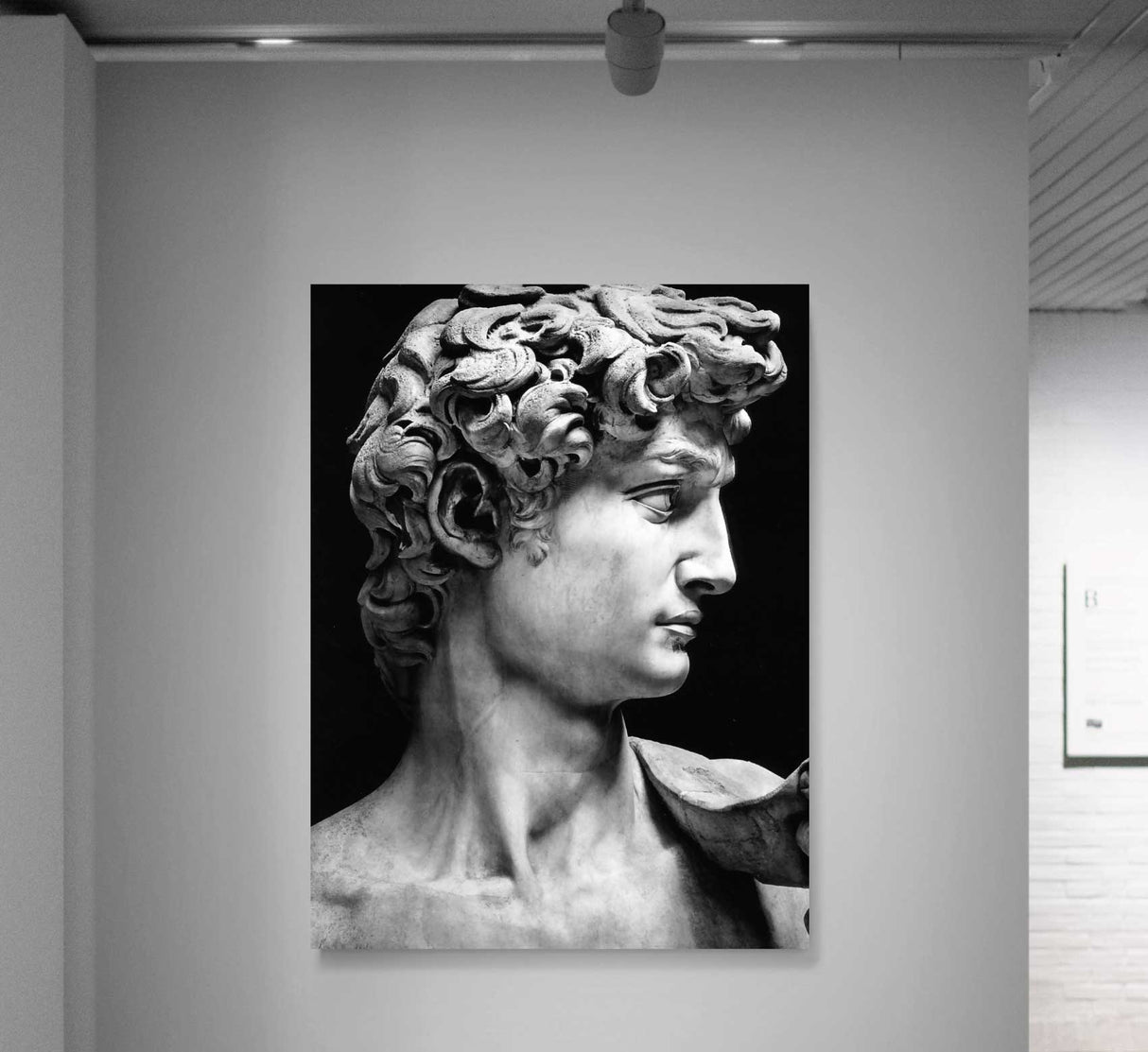 REF 0323 Escultura David