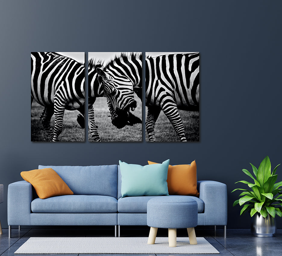 REF 0337 Cebras