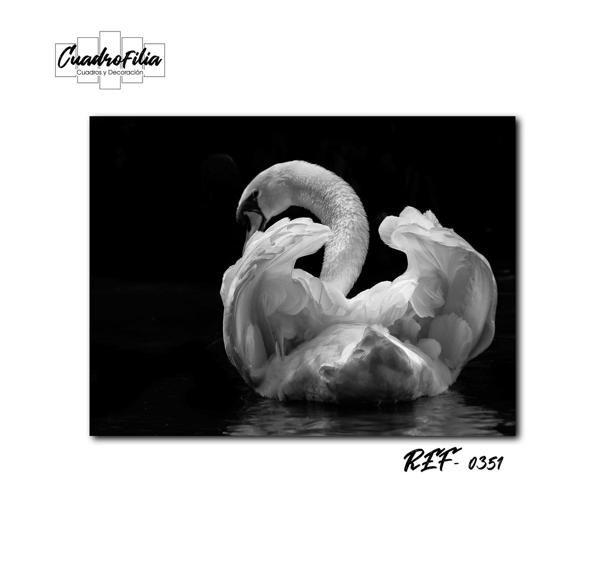 REF 0351 Cisne
