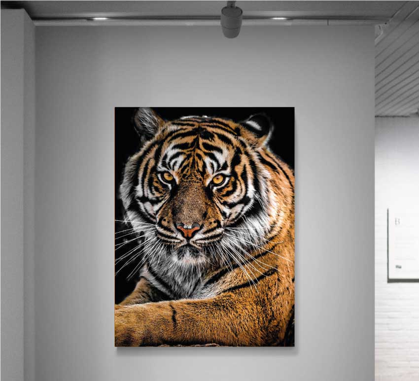 REF 0397 Tigre