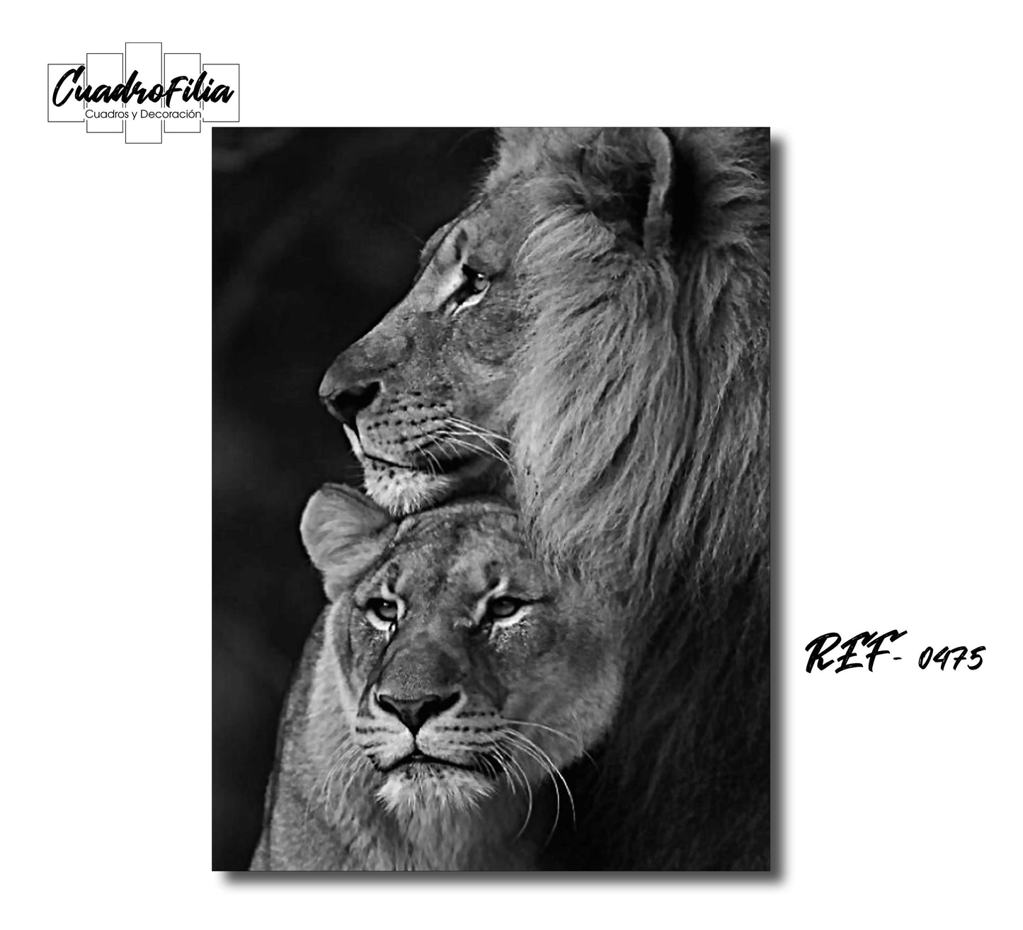 REF 0475 Pareja de Leones Grises