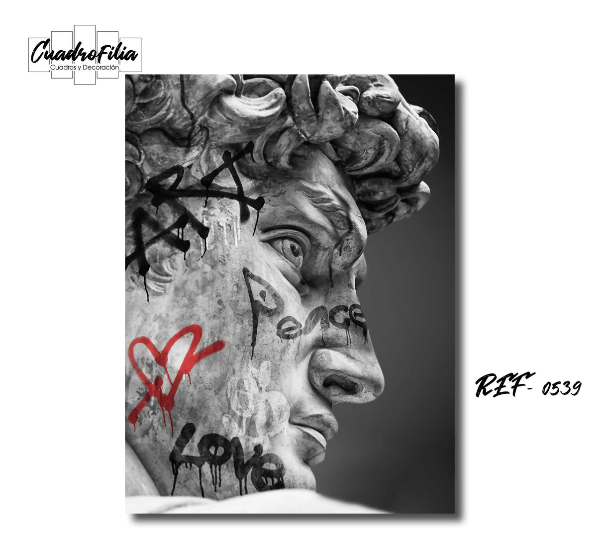 REF 0539 David Street Art