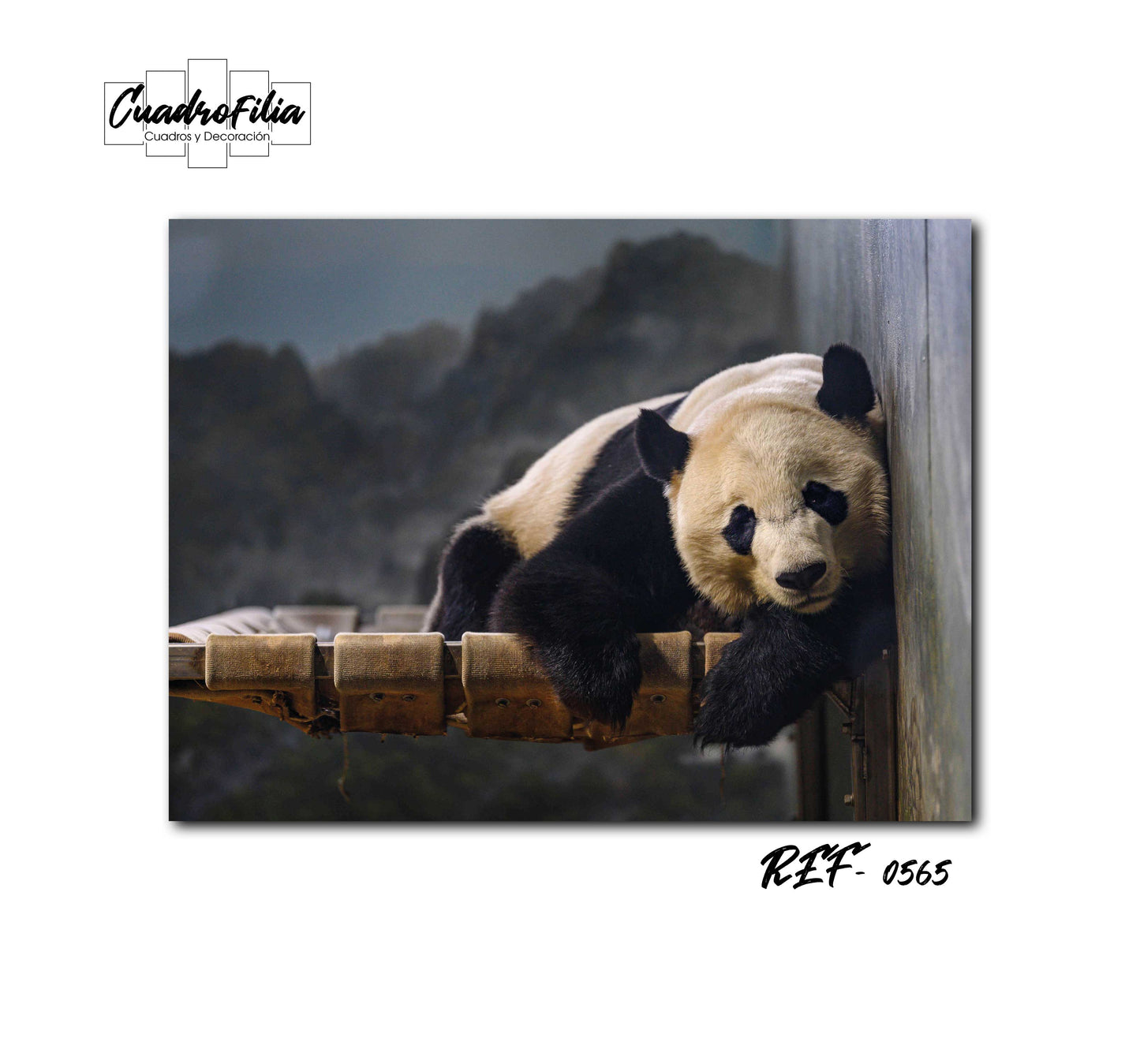 REF 0565 Oso Panda