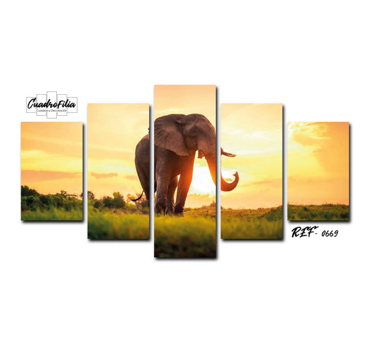 REF 0669 Elefante