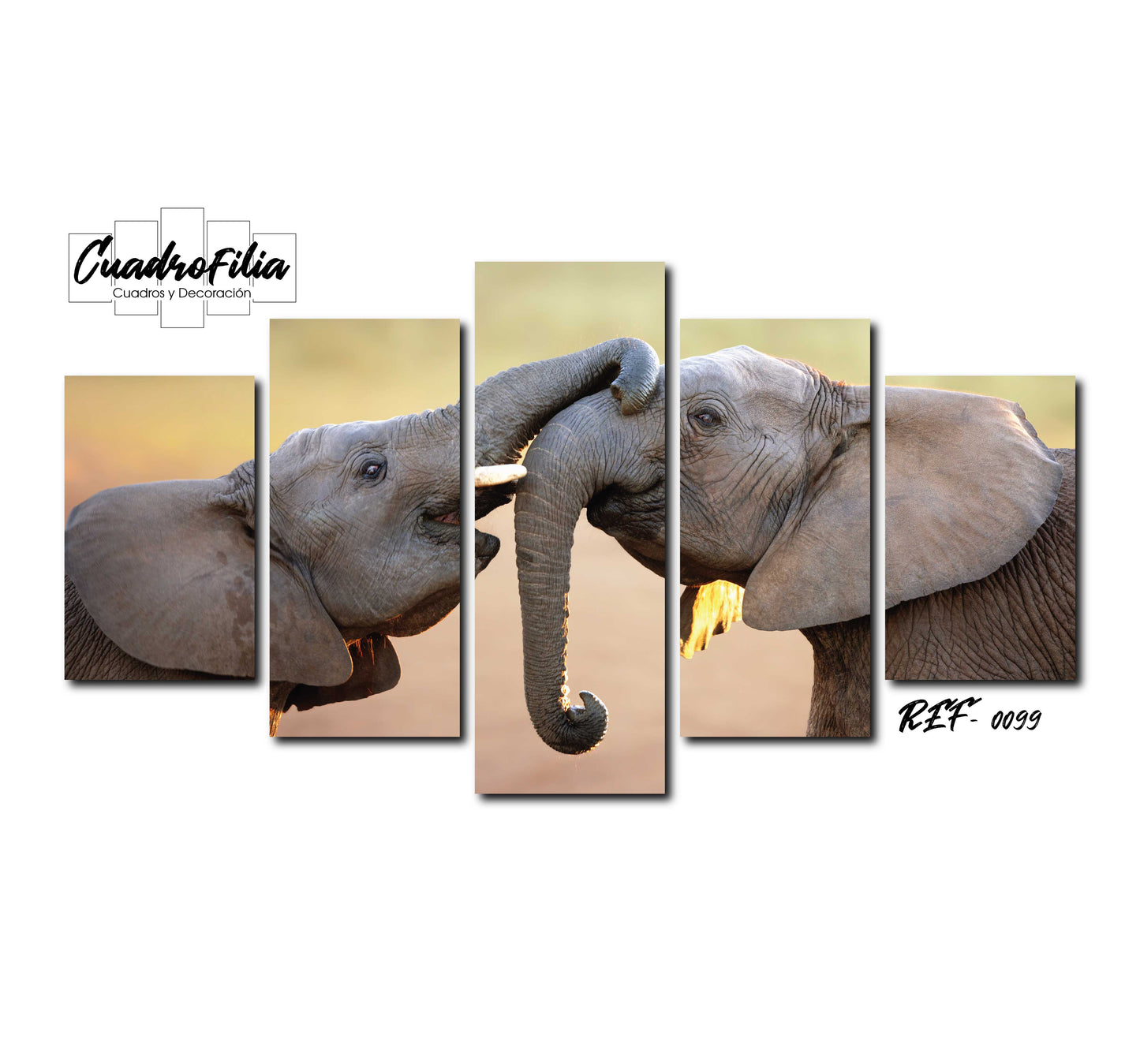REF 0099 Elefantes