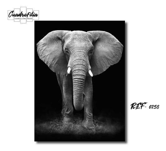 REF 0258 Elefante Grises