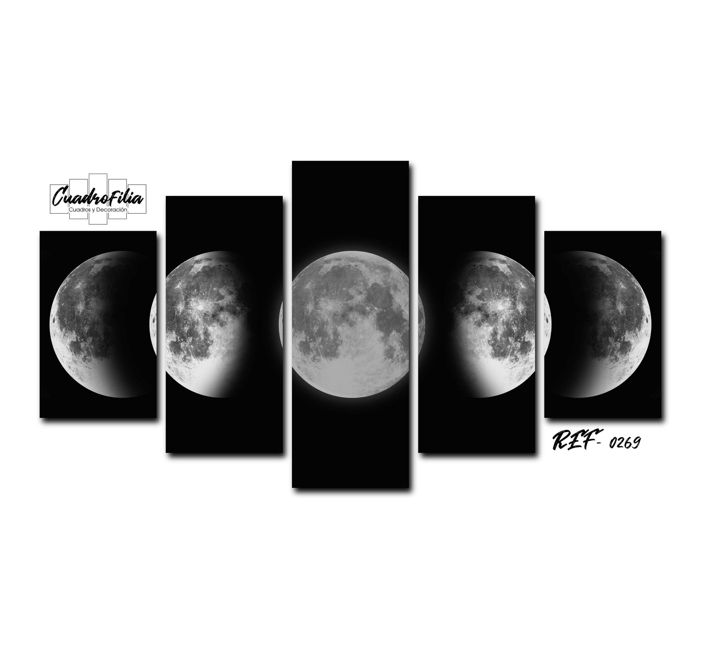 REF 0269 Fases de la Luna