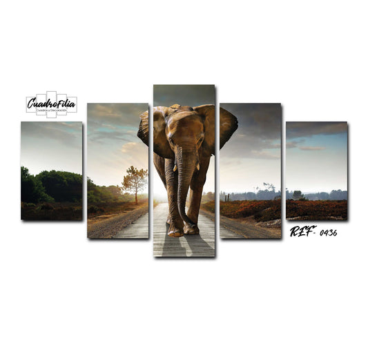 REF 0436 Elefante